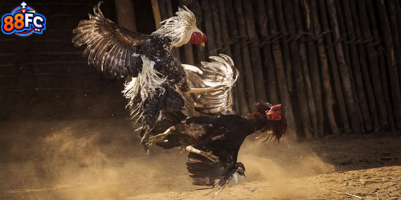 Tài xỉu là lựa chọn an toàn nhưng vẫn đảm bảo lợi nhuận cho người chơi