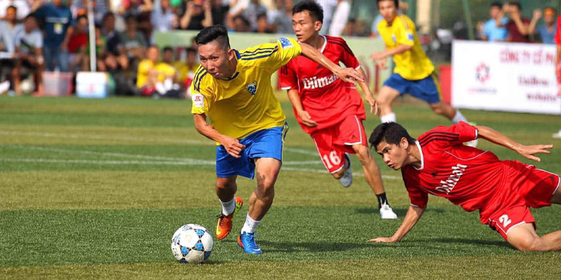 Dưới đây là bảng các tiêu chí nhận biết: